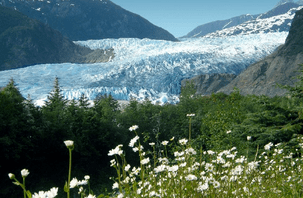 Mendenhall Glacier Juneau, Alaska